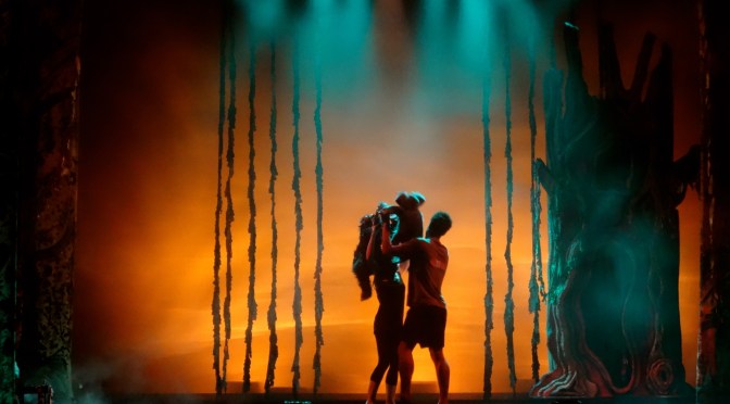 «Tarzán» Diseño de iluminación V. Estreno.